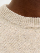 JPRLAMBSWOOL KNIT CREW NECK LN 12216799